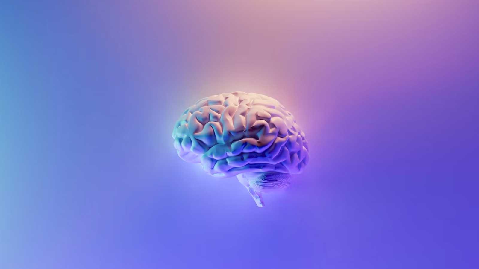 What Is Auditory Processing Disorder (APD) And How to Treat It